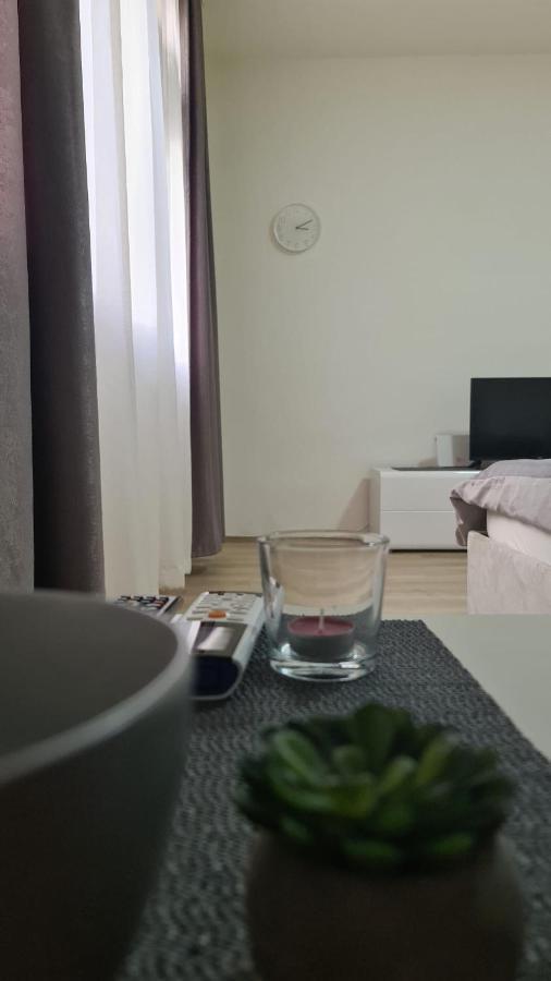 Apartman Pavlovic Leskovac  Zewnętrze zdjęcie